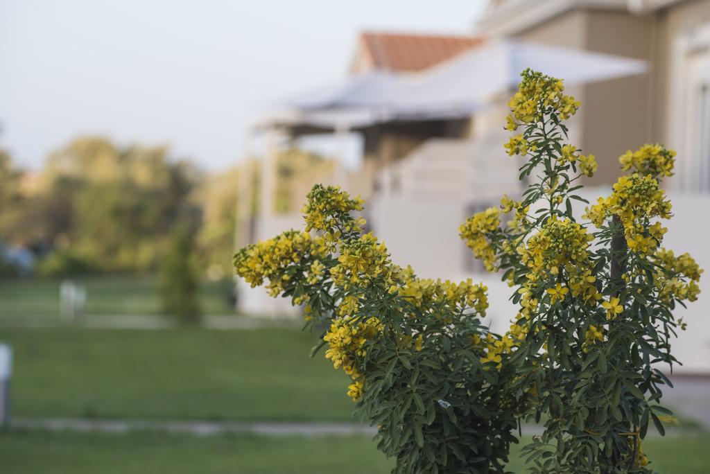 Casa Di Varco Villa Frínion Buitenkant foto